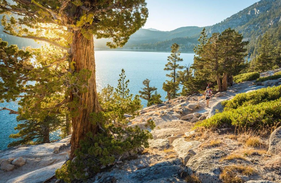 Donner Memorial State Park, California, USA